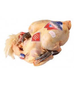 pollo-di-bresse-dop-