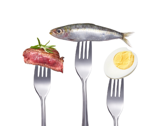 carne- contro pesce-uova