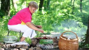 pic nic 2