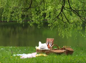 8 Pic-Nic- DOVE